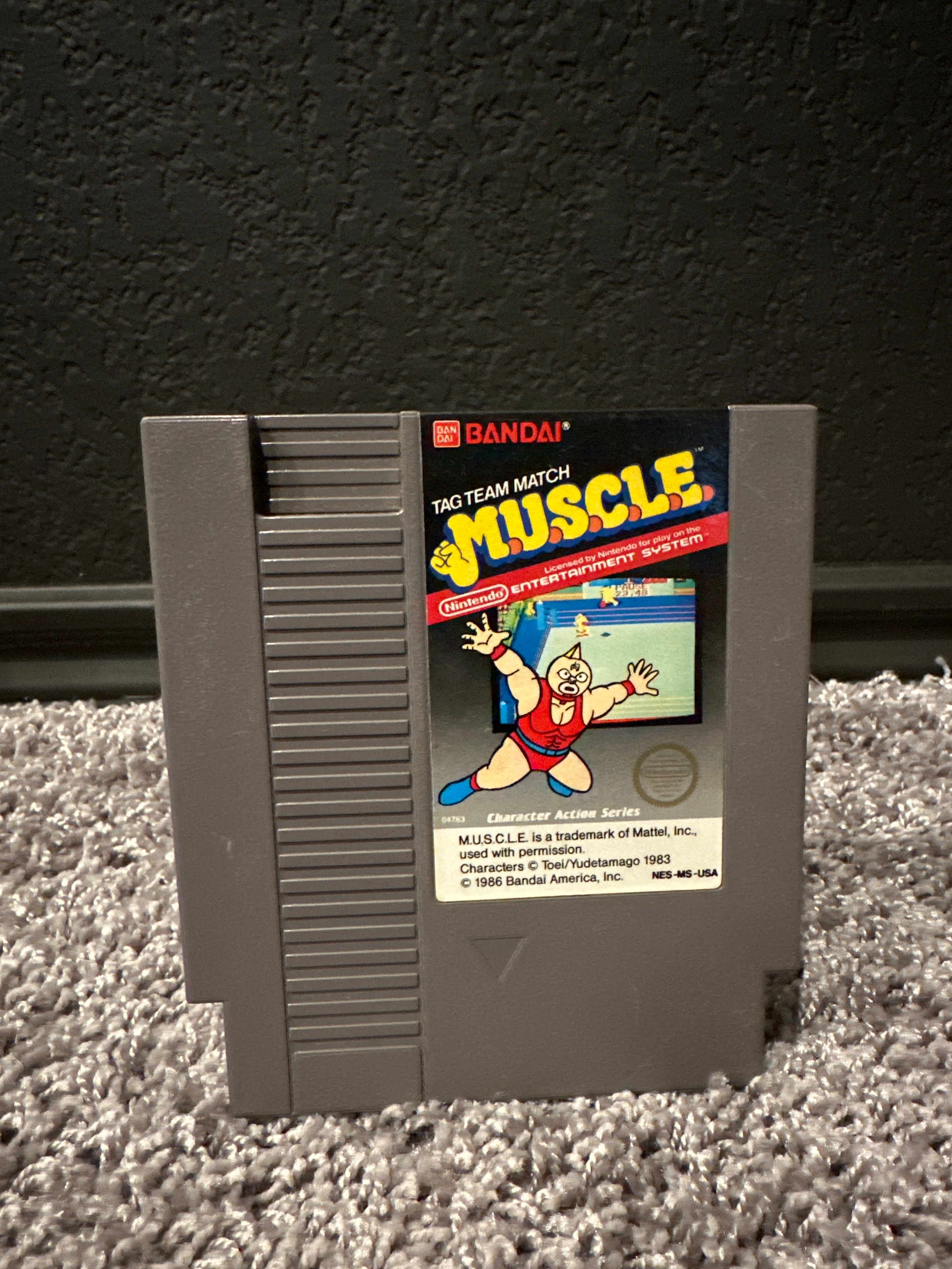 Tag Team Match: Muscle