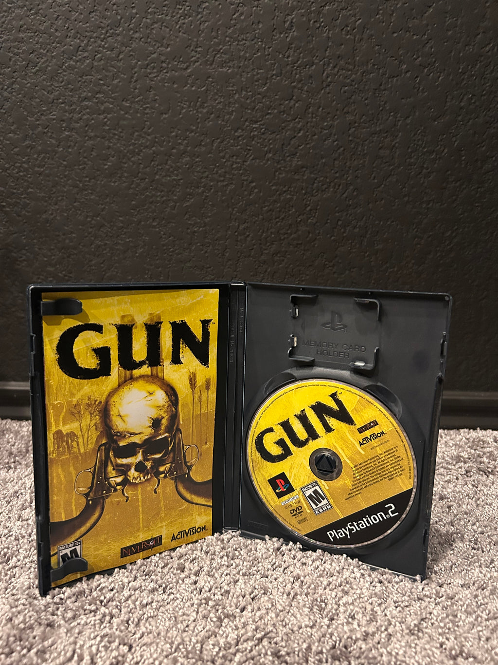 Gun
