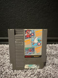 Duck Hunt