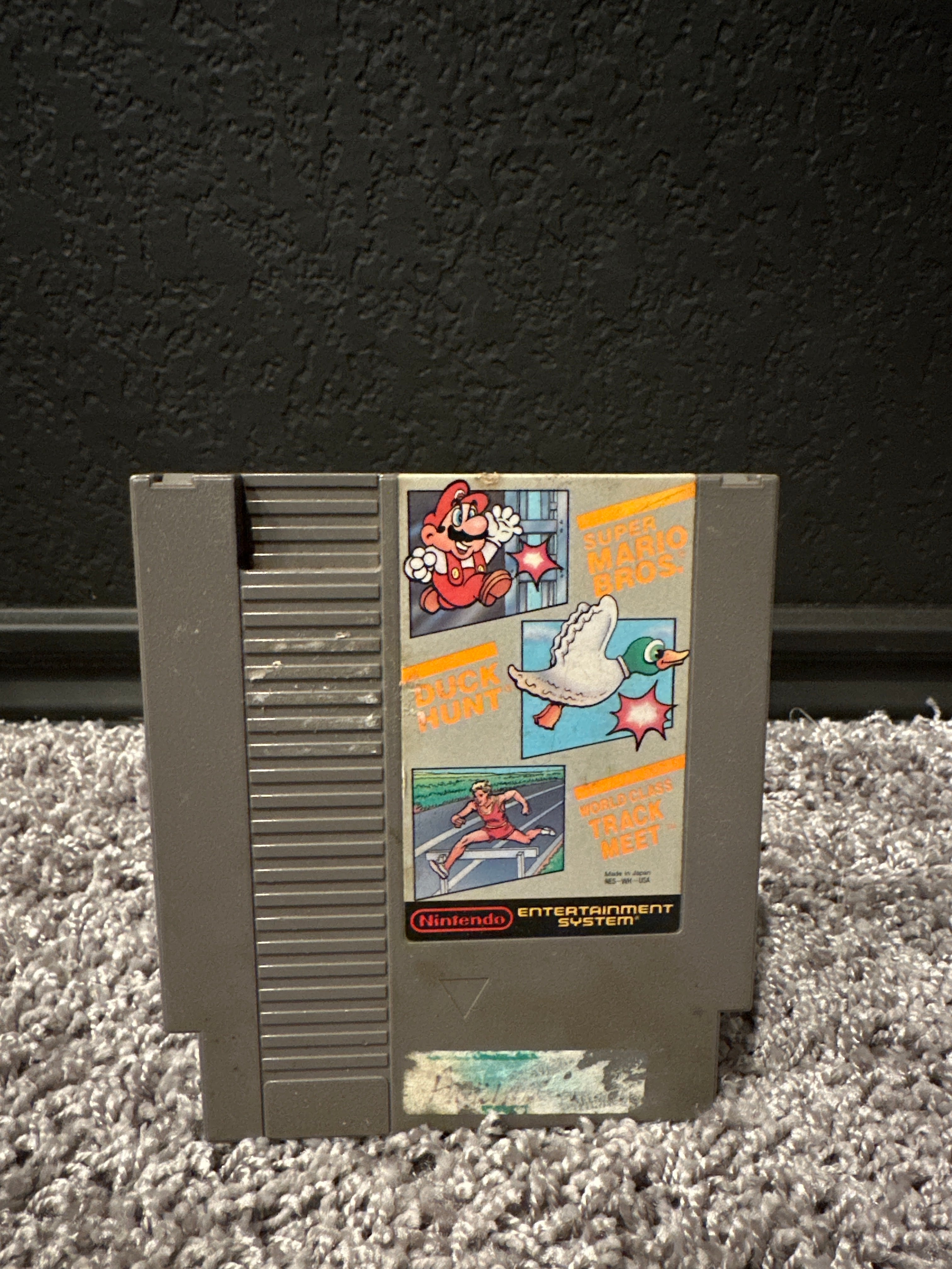 Duck Hunt