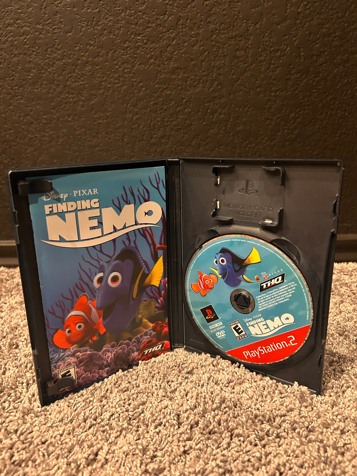 Finding Nemo