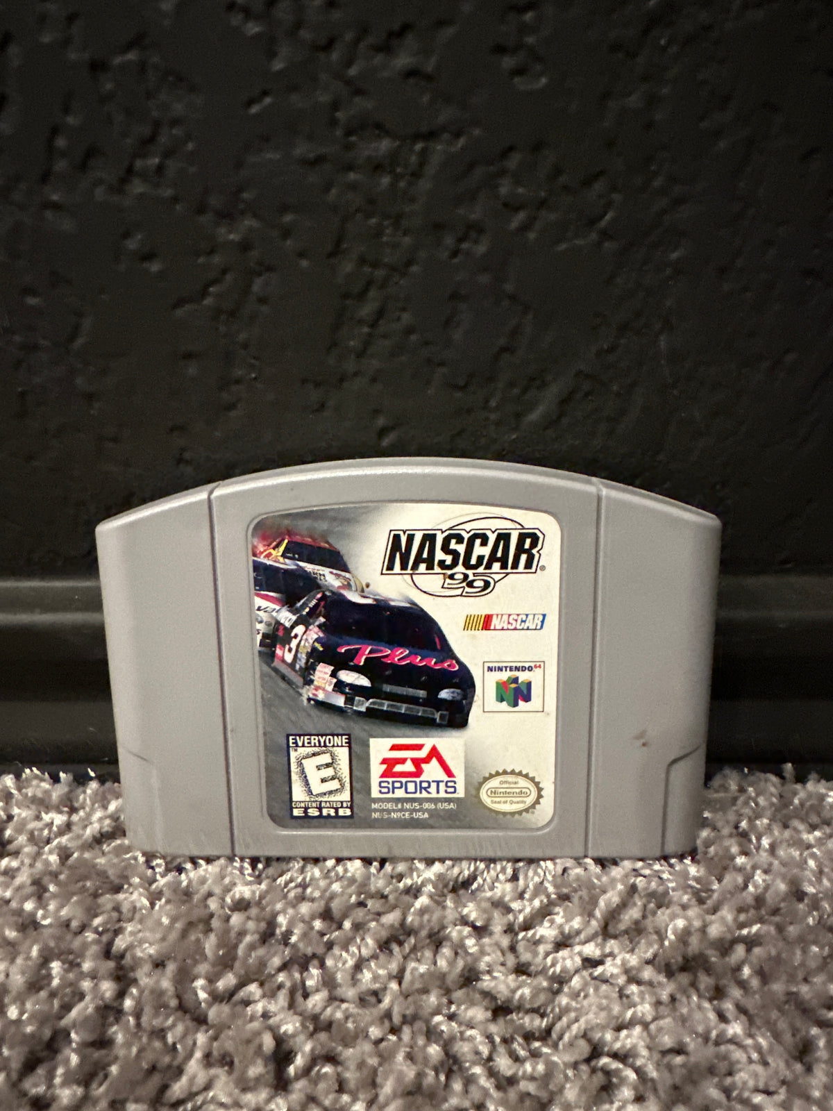 NASCAR 99